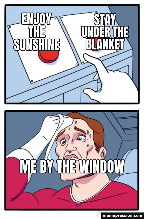 Two Buttons meme: Enjoy the sunshine / Stay under the blanket / Me by the window