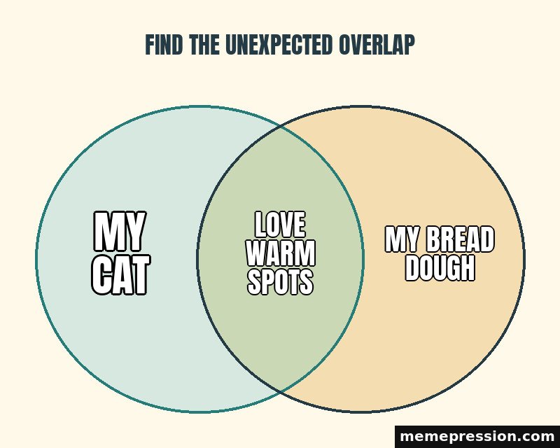 Venn Diagram meme: My cat / Love warm spots / My bread dough