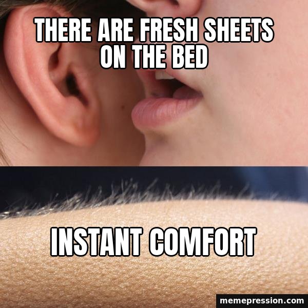 Whisper and Goosebumps meme: There are fresh sheets on the bed / Instant comfort