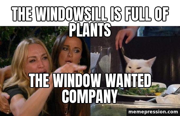 Woman Yelling at a Cat meme: The windowsill is full of plants / The window wanted company