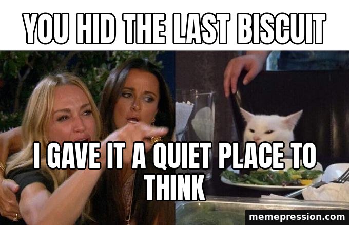 Woman Yelling at a Cat meme: You hid the last biscuit / I gave it a quiet place to think
